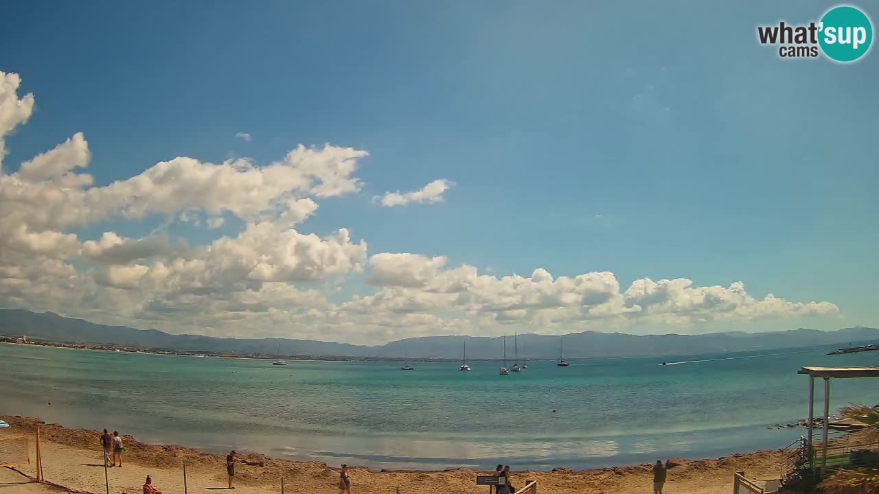 Webcam Cagliari Windsurf Club – Plage du Poetto en direct