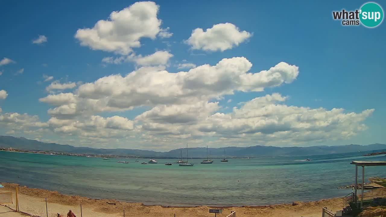 Webcam Cagliari Windsurf Club – Liveblick vom Poetto Strand