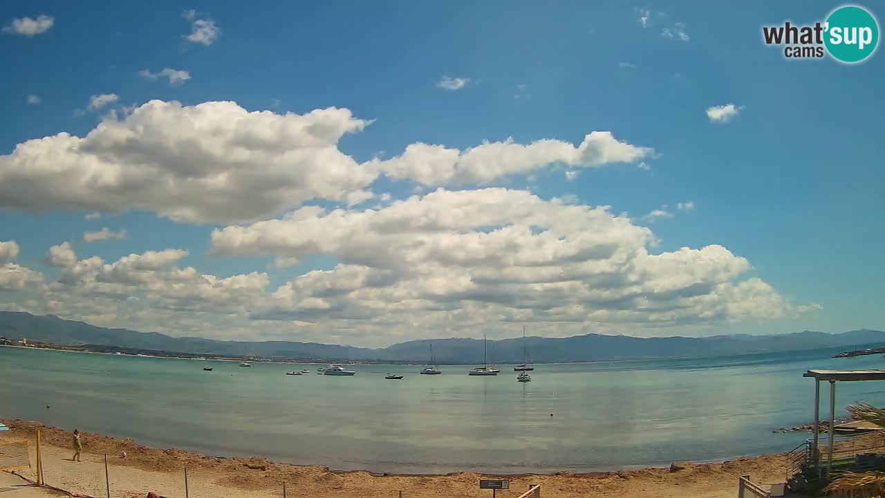 Webcam Cagliari Windsurf Club – Plage du Poetto en direct