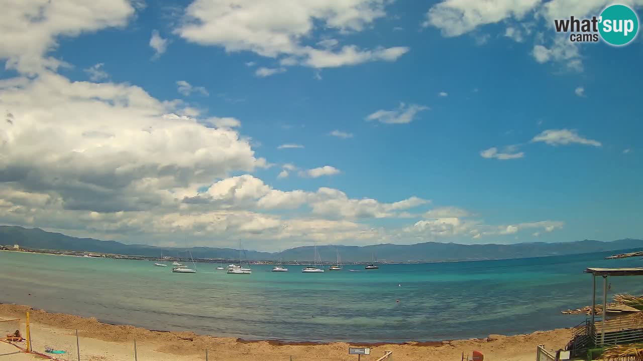 Webcam Cagliari Windsurf Club – Liveblick vom Poetto Strand