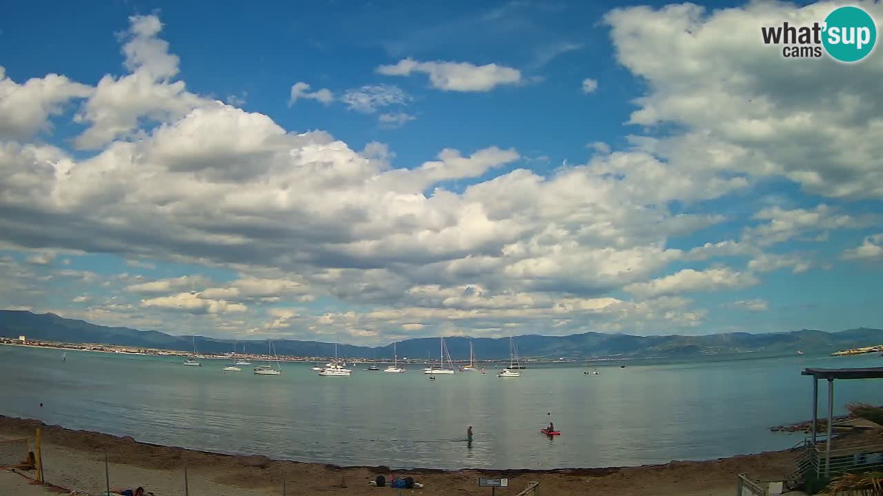 Webcam Cagliari Windsurf Club – Plage du Poetto en direct