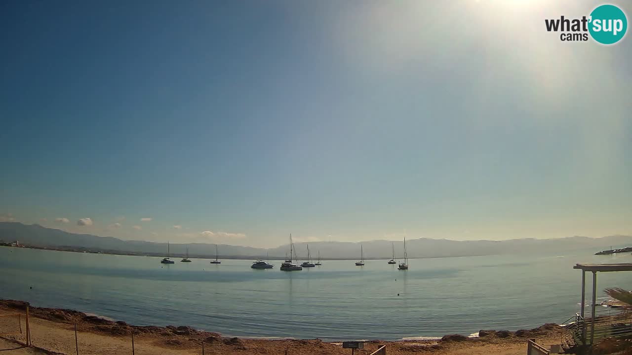 Webcam Cagliari Windsurf Club – Plage du Poetto en direct