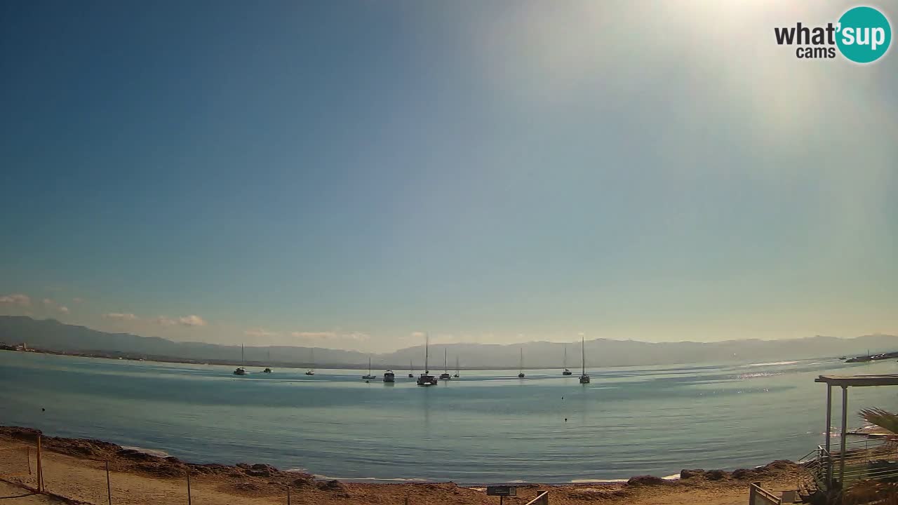 Spletna kamera Cagliari Windsurf Club – Pogled v živo s plaže Poetto