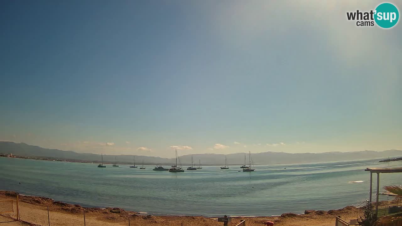 Webcam Cagliari Windsurf Club – Liveblick vom Poetto Strand