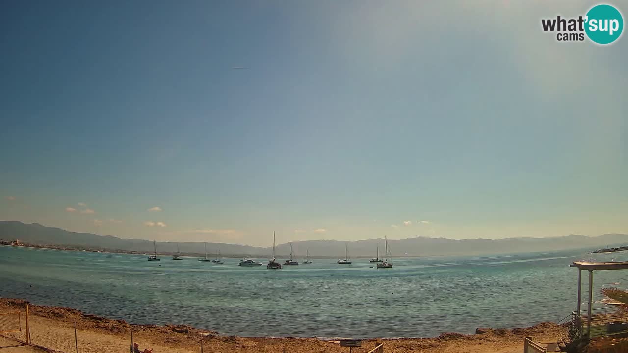Webcam Cagliari Windsurf Club – Playa del Poetto en directo