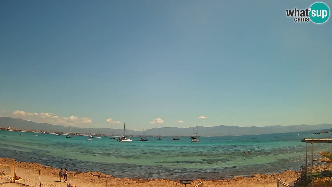 Webcam Cagliari Windsurf Club – Plage du Poetto en direct