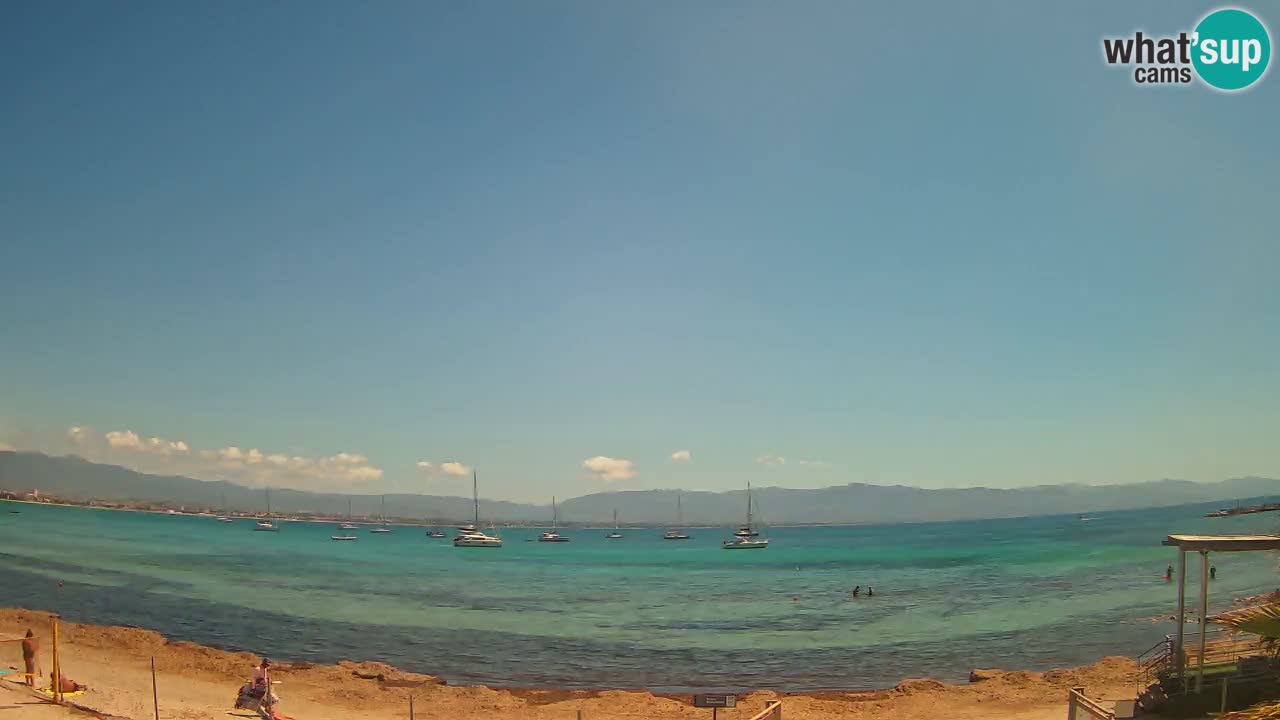 Webcam Cagliari Windsurf Club – Plage du Poetto en direct