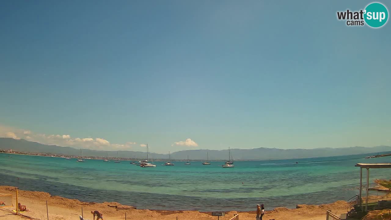 Webcam Cagliari Windsurf Club – Plage du Poetto en direct