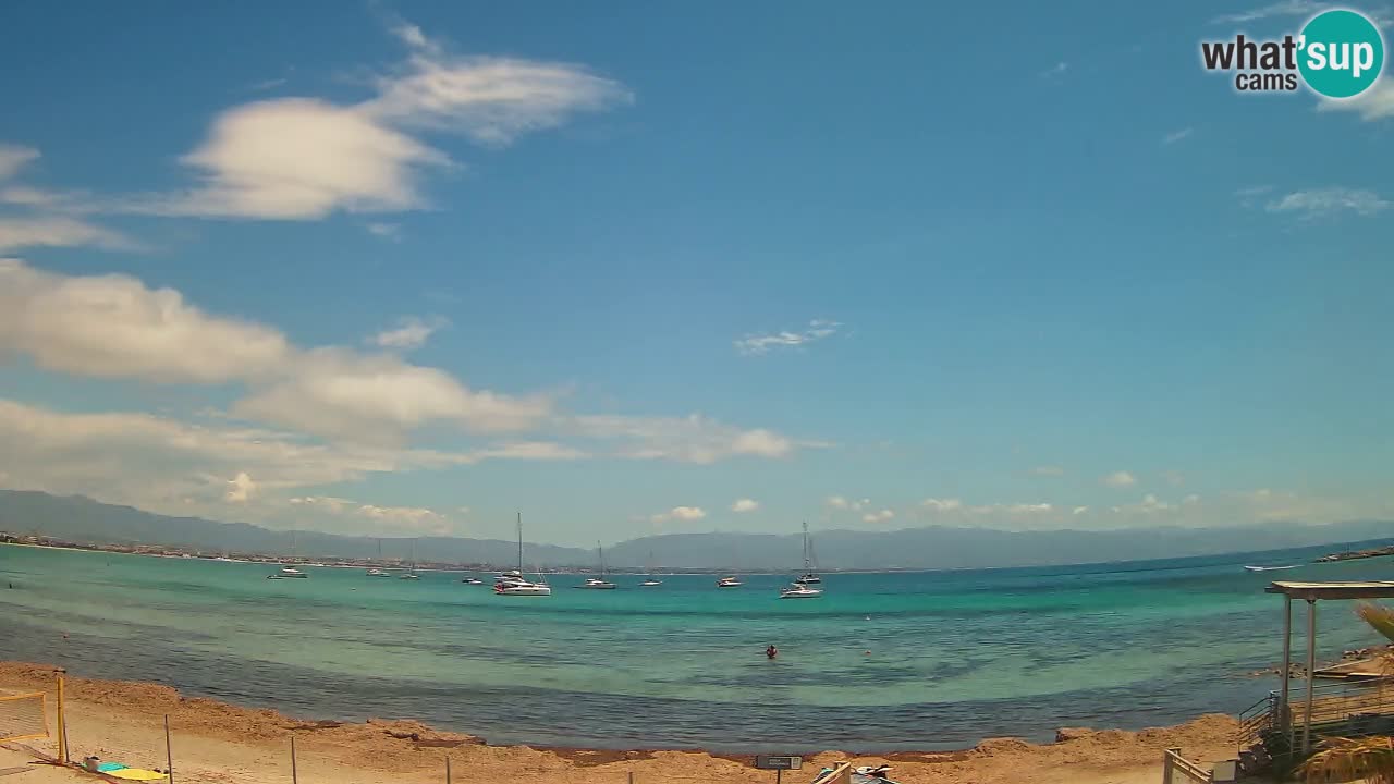 Webcam Cagliari Windsurf Club – Spiaggia del Poetto in diretta