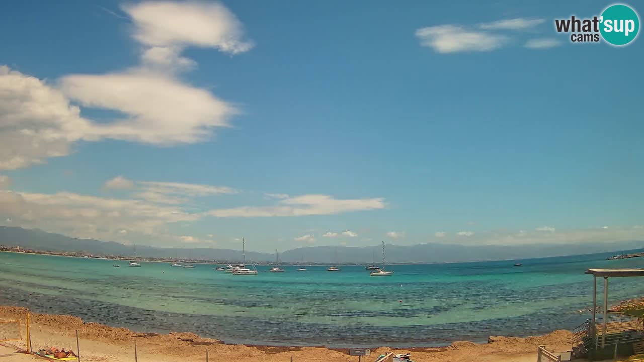 Spletna kamera Cagliari Windsurf Club – Pogled v živo s plaže Poetto