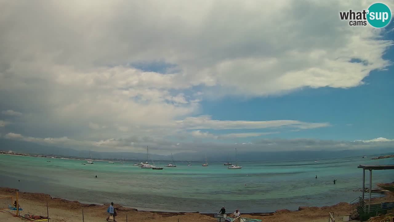 Webcam Cagliari Windsurf Club – Playa del Poetto en directo