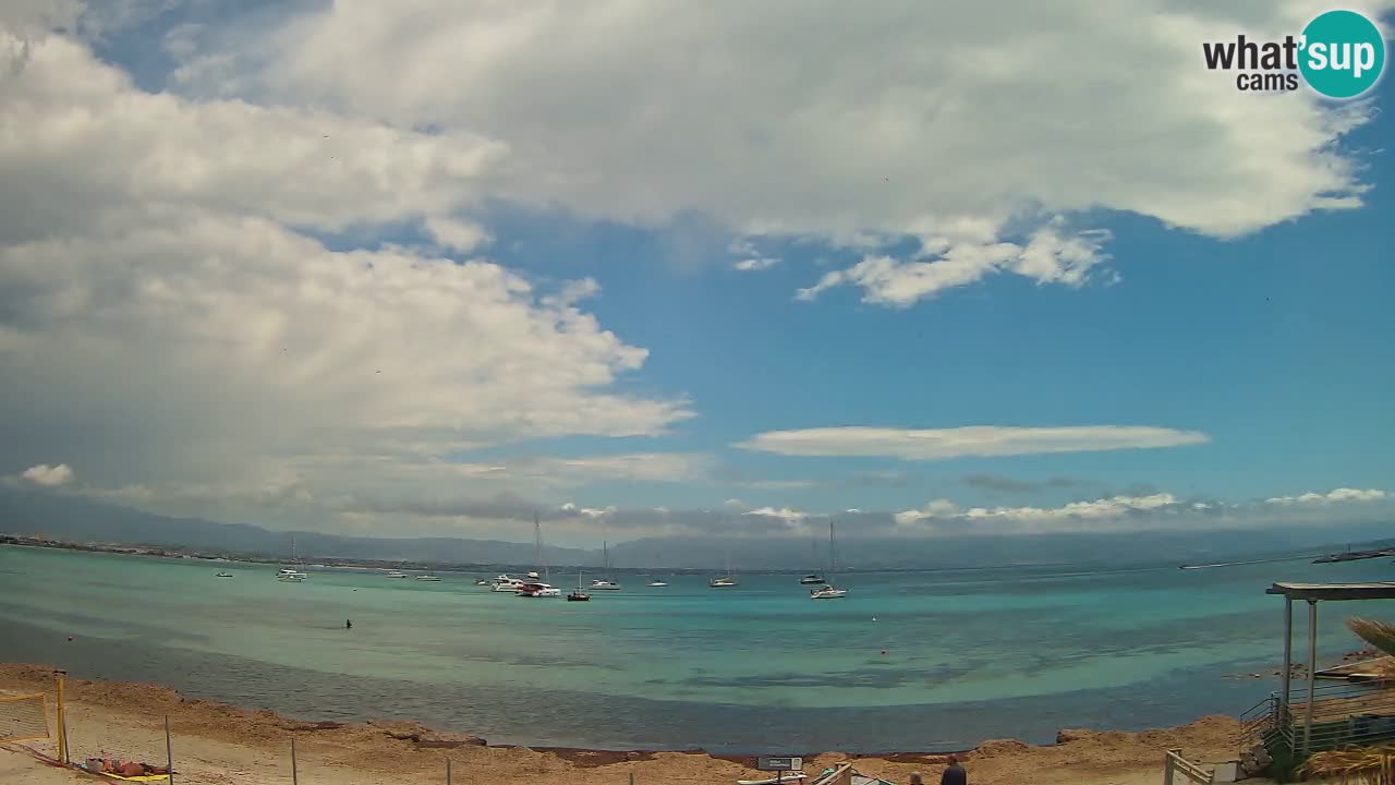 Webcam Cagliari Windsurf Club – Plage du Poetto en direct