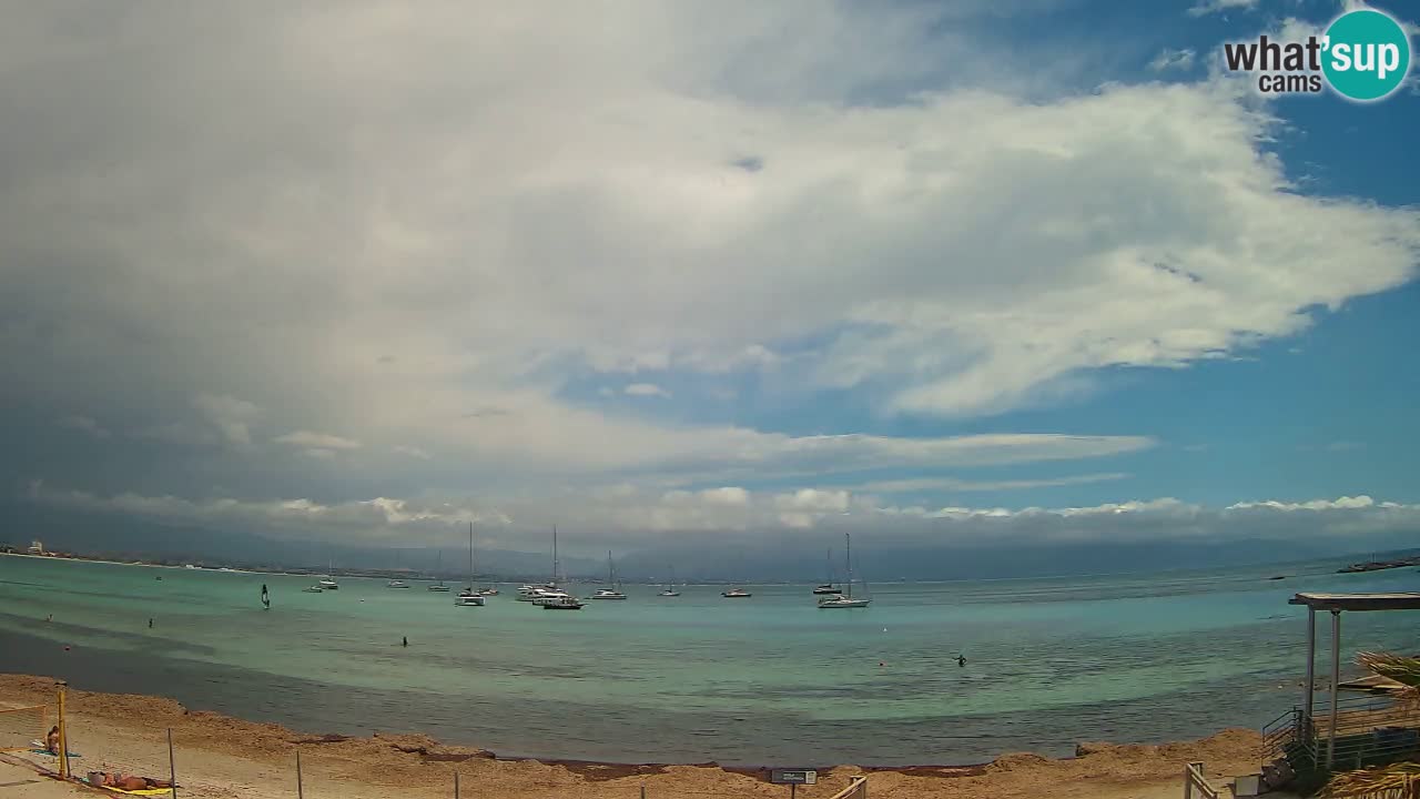 Webcam Cagliari Windsurf Club – Liveblick vom Poetto Strand