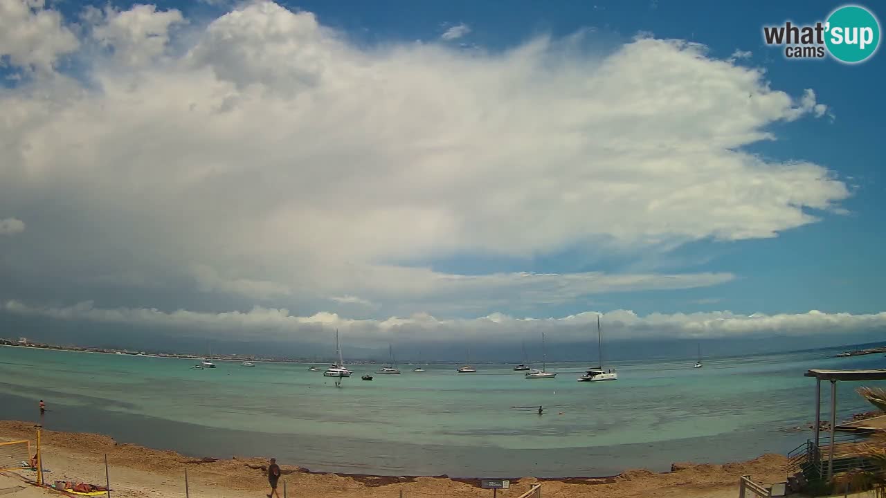 Web kamera Cagliari Windsurf Club – Poetto plaža uživo