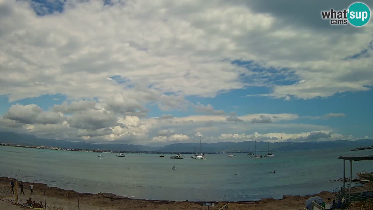 Webcam Cagliari Windsurf Club – Plage du Poetto en direct