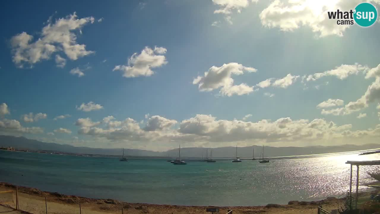 Webcam Cagliari Windsurf Club – Live from Poetto Beach