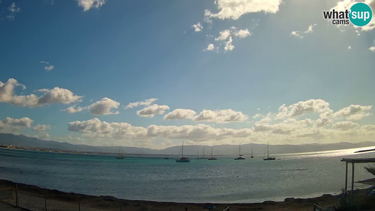 Spletna kamera Cagliari Windsurf Club – Pogled v živo s plaže Poetto
