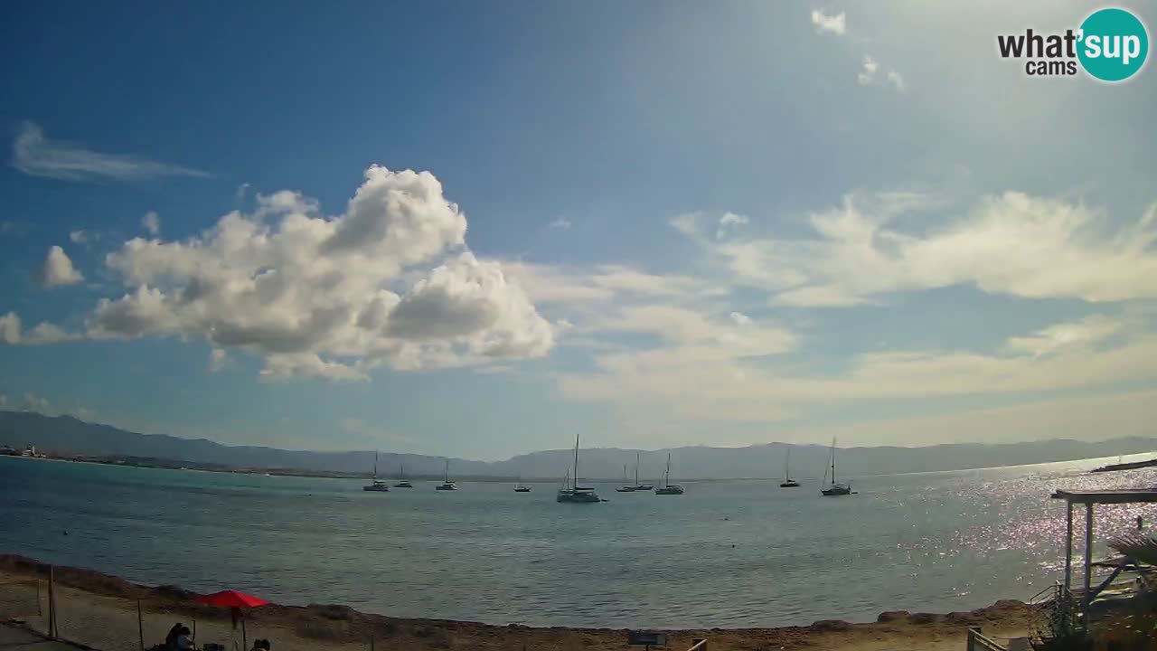 Webcam Cagliari Windsurf Club – Live from Poetto Beach