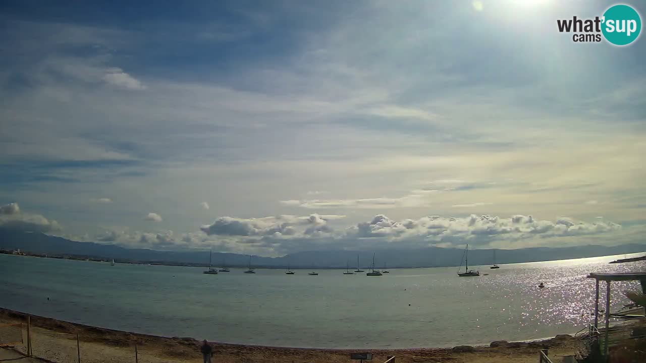 Webcam Cagliari Windsurf Club – Plage du Poetto en direct