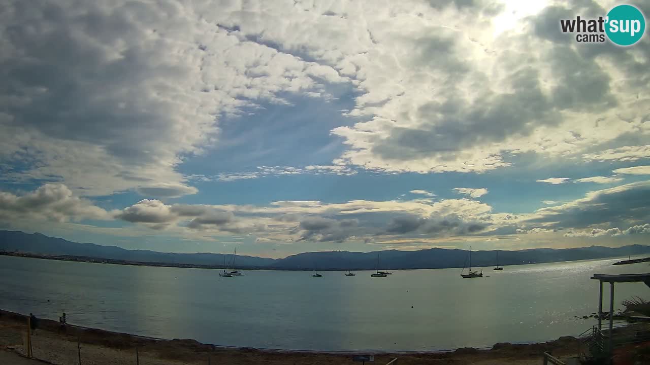 Webcam Cagliari Windsurf Club – Playa del Poetto en directo
