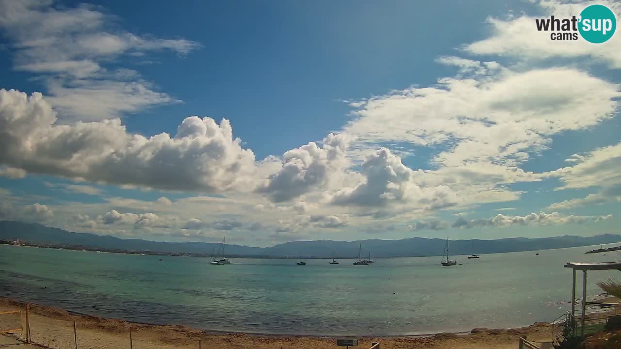 Webcam Cagliari Windsurf Club – Live from Poetto Beach
