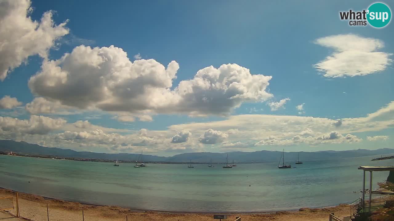 Webcam Cagliari Windsurf Club – Plage du Poetto en direct