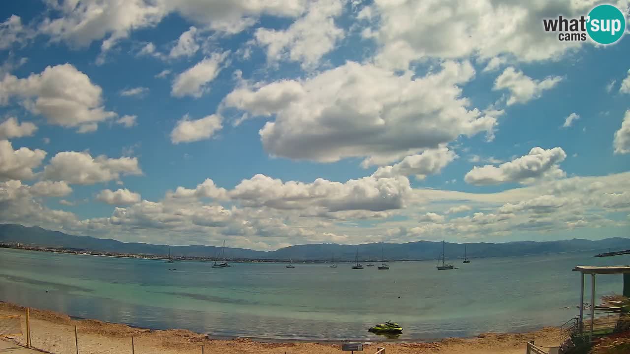 Webcam Cagliari Windsurf Club – Plage du Poetto en direct