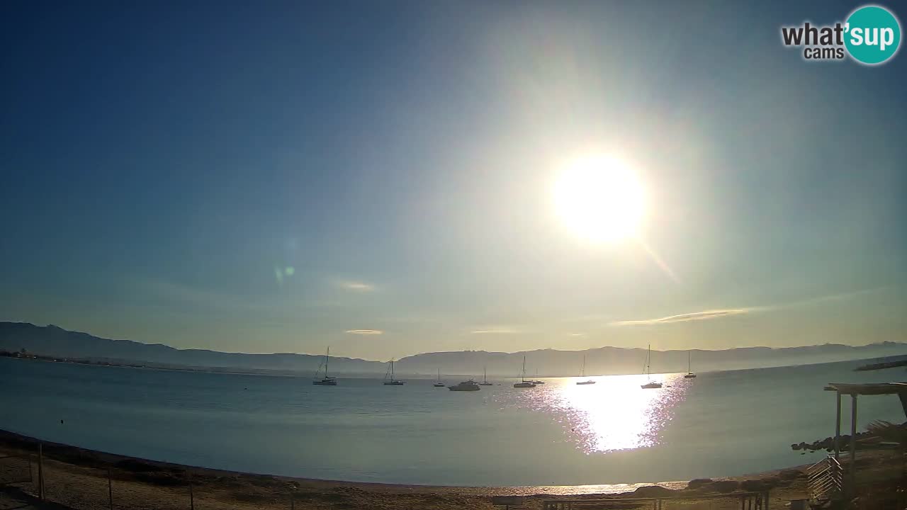 Webcam Cagliari Windsurf Club – Plage du Poetto en direct