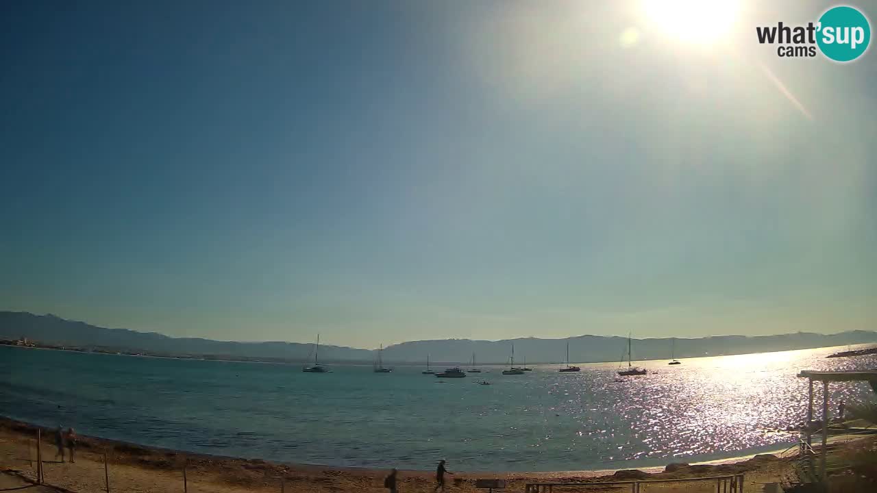 Webcam Cagliari Windsurf Club – Plage du Poetto en direct