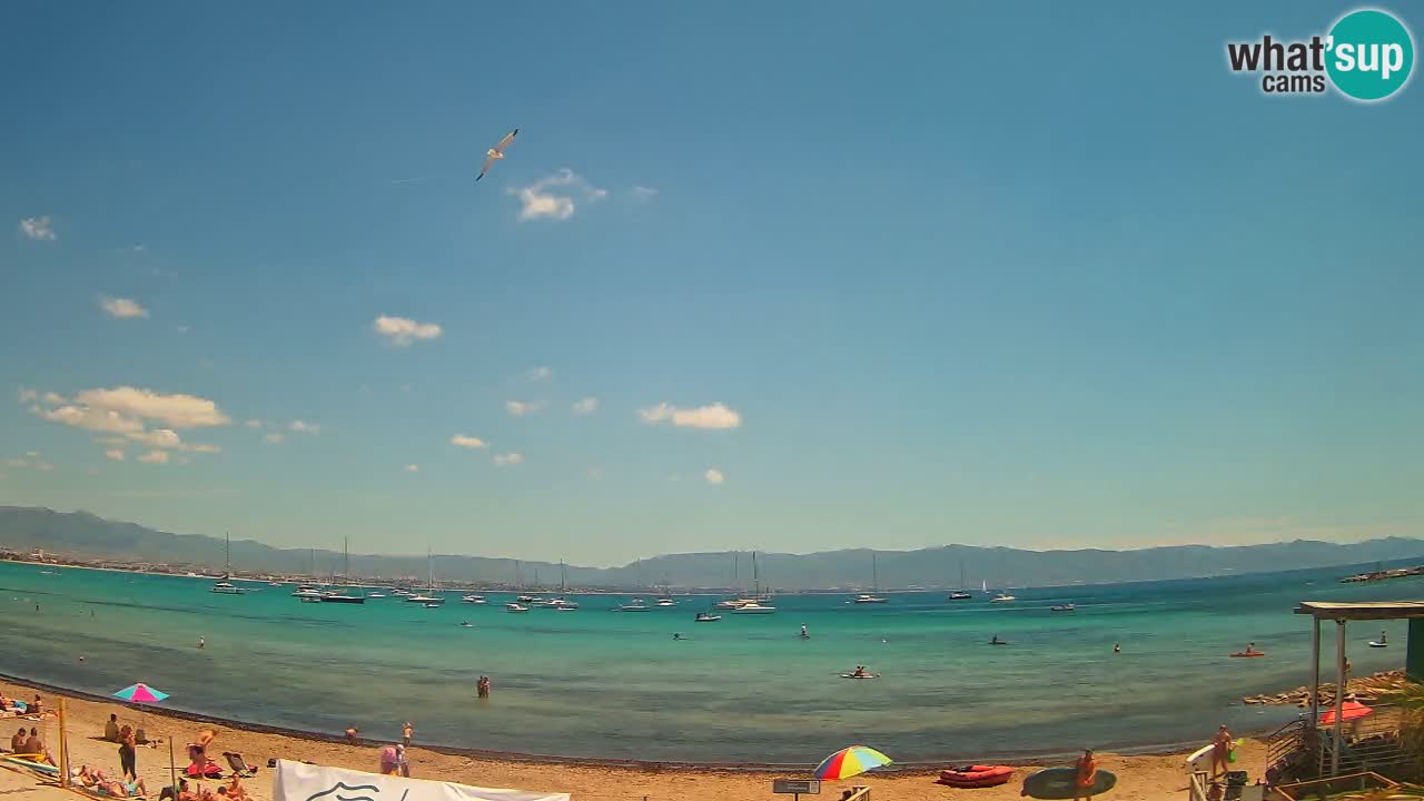 Webcam Cagliari Windsurf Club – Live from Poetto Beach