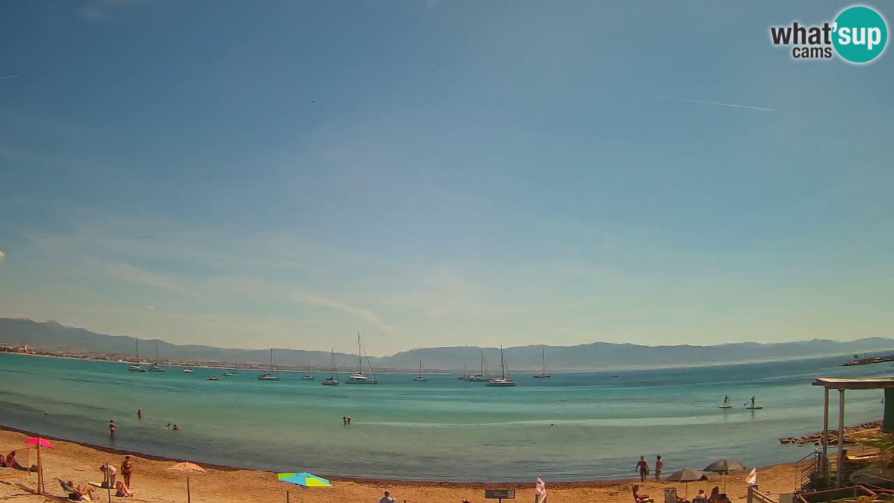 Webcam Cagliari Windsurf Club – Playa del Poetto en directo