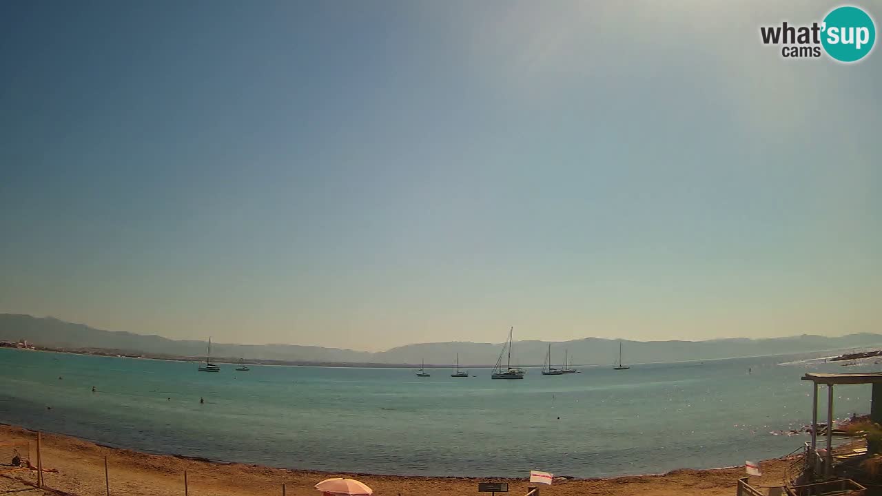 Webcam Cagliari Windsurf Club – Liveblick vom Poetto Strand