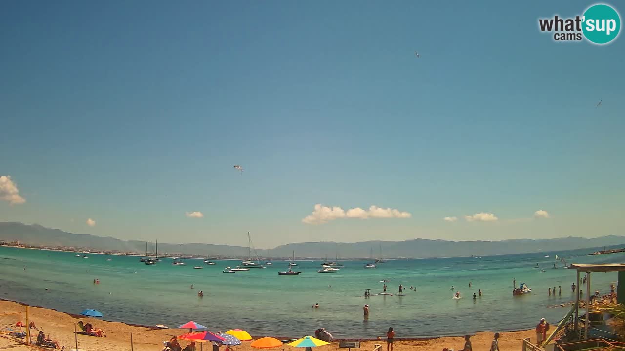 Webcam Cagliari Windsurf Club – Plage du Poetto en direct