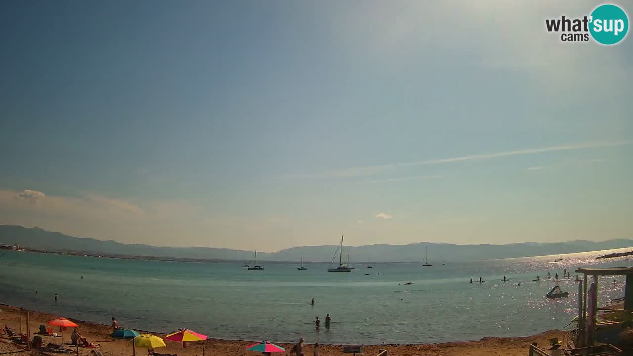 Webcam Cagliari Windsurf Club – Liveblick vom Poetto Strand
