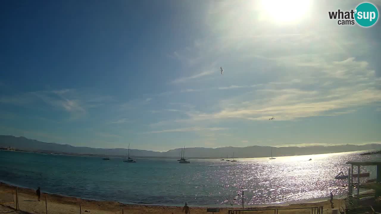 Spletna kamera Cagliari Windsurf Club – Pogled v živo s plaže Poetto