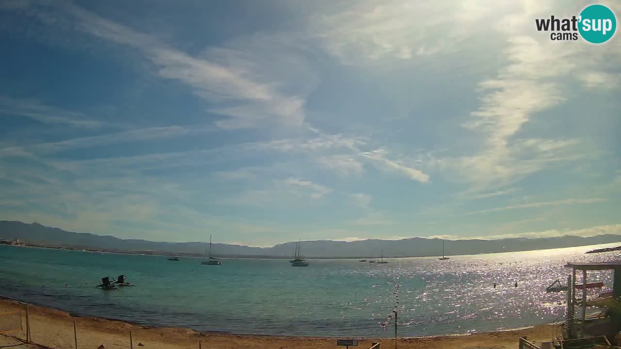 Webcam Cagliari Windsurf Club – Live from Poetto Beach