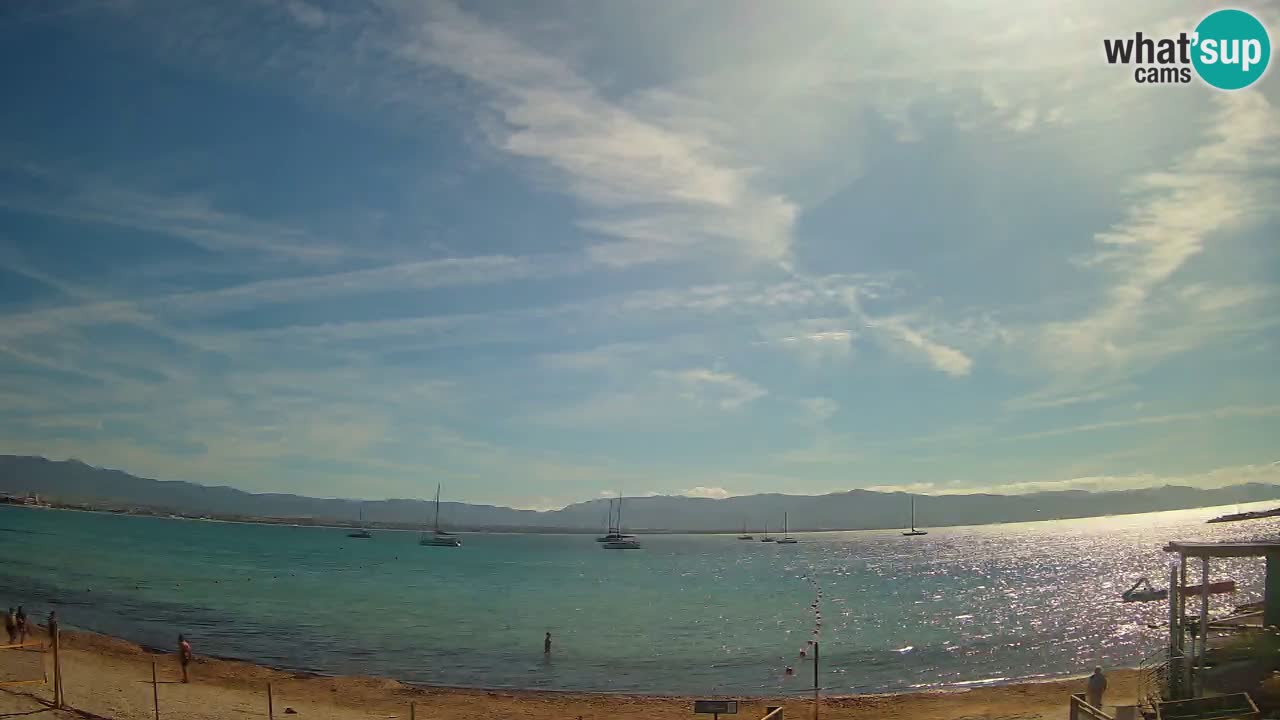 Webcam Cagliari Windsurf Club – Plage du Poetto en direct