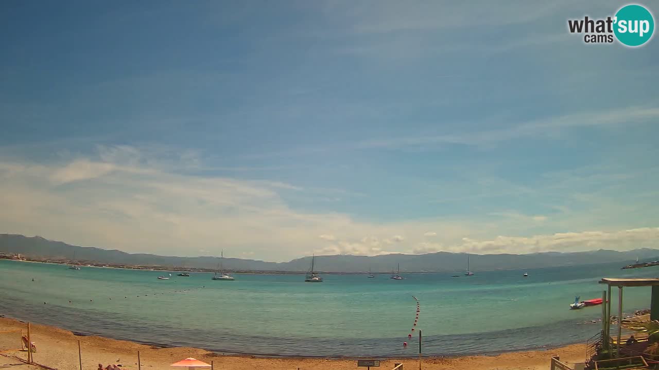 Webcam Cagliari Windsurf Club – Liveblick vom Poetto Strand
