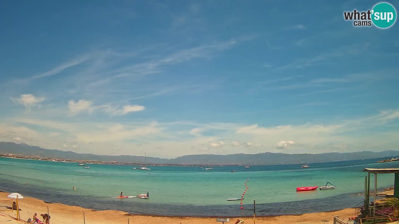 Webcam Cagliari Windsurf Club – Plage du Poetto en direct