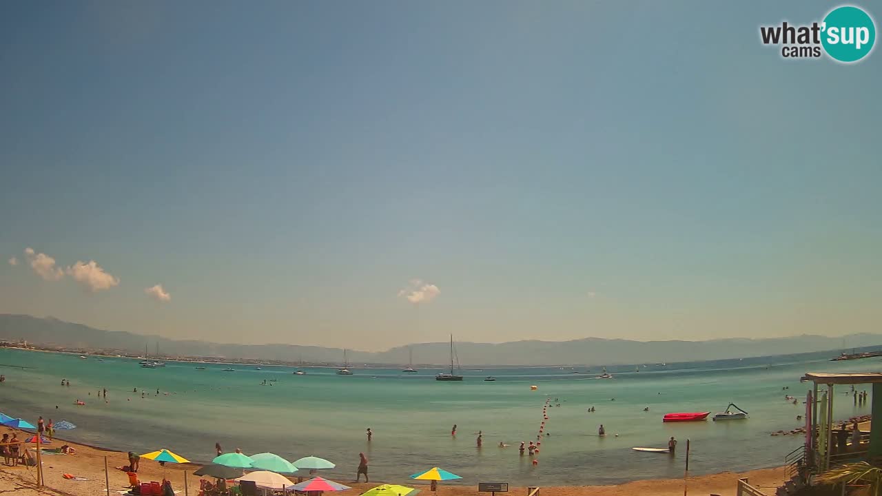 Webcam Cagliari Windsurf Club – Plage du Poetto en direct