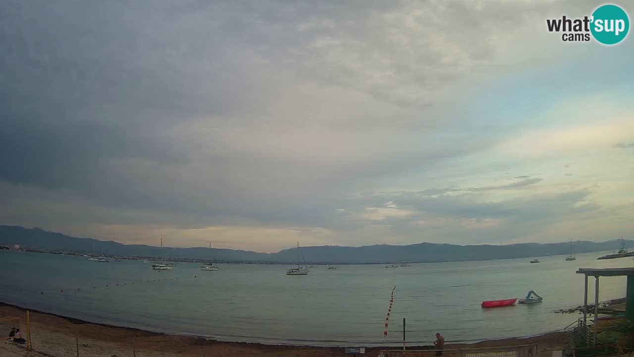 Webcam Cagliari Windsurf Club – Plage du Poetto en direct