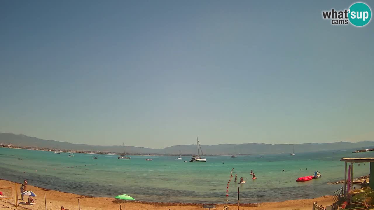 Webcam Cagliari Windsurf Club – Plage du Poetto en direct