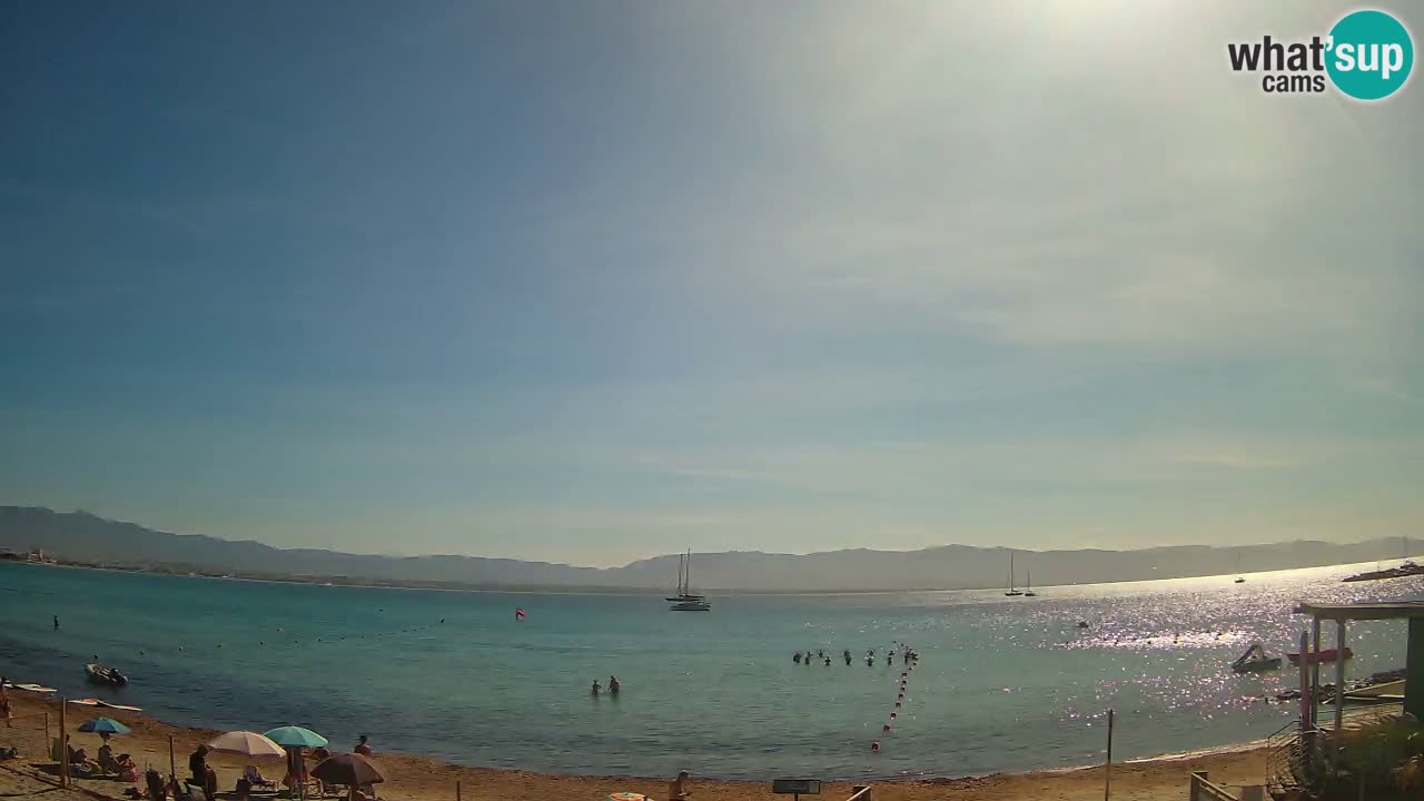 Webcam Cagliari Windsurf Club – Live from Poetto Beach