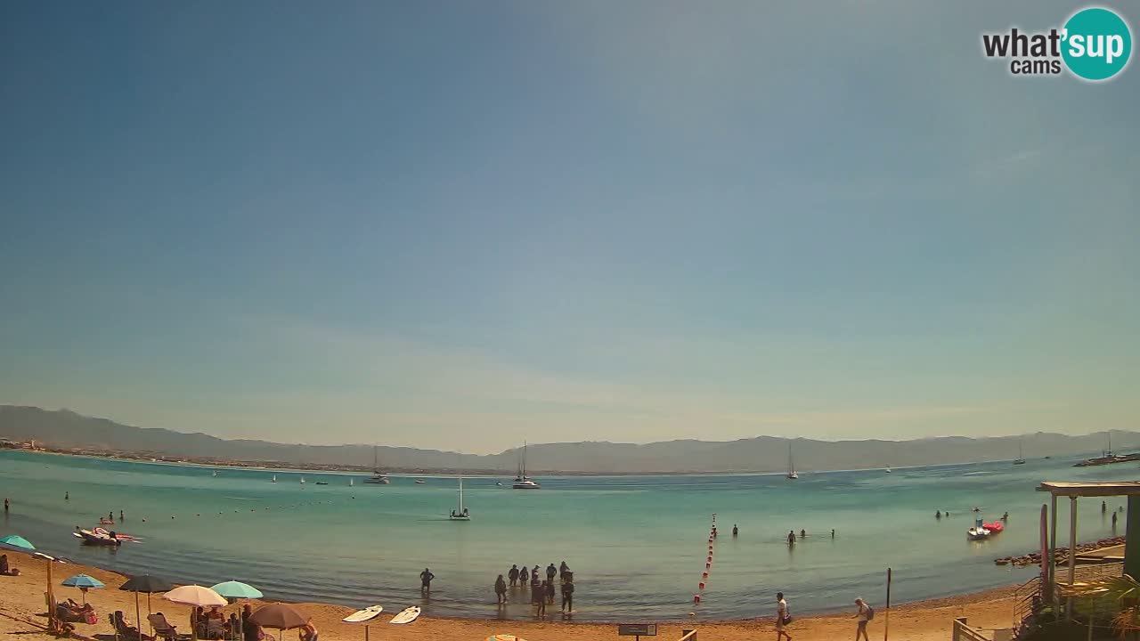 Webcam Cagliari Windsurf Club – Plage du Poetto en direct