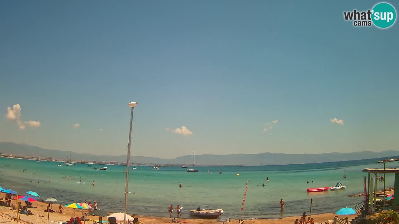 Webcam Cagliari Windsurf Club – Plage du Poetto en direct