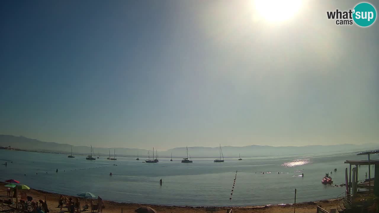 Webcam Cagliari Windsurf Club – Plage du Poetto en direct
