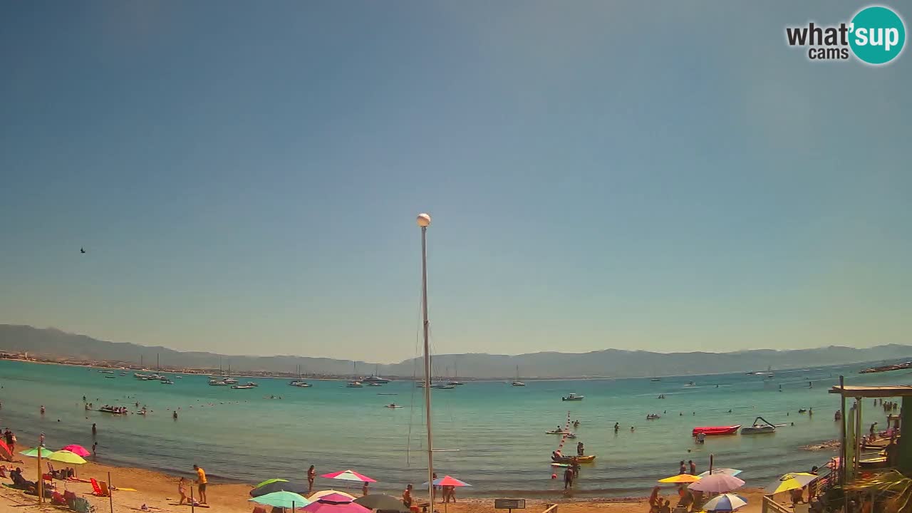 Webcam Cagliari Windsurf Club – Plage du Poetto en direct