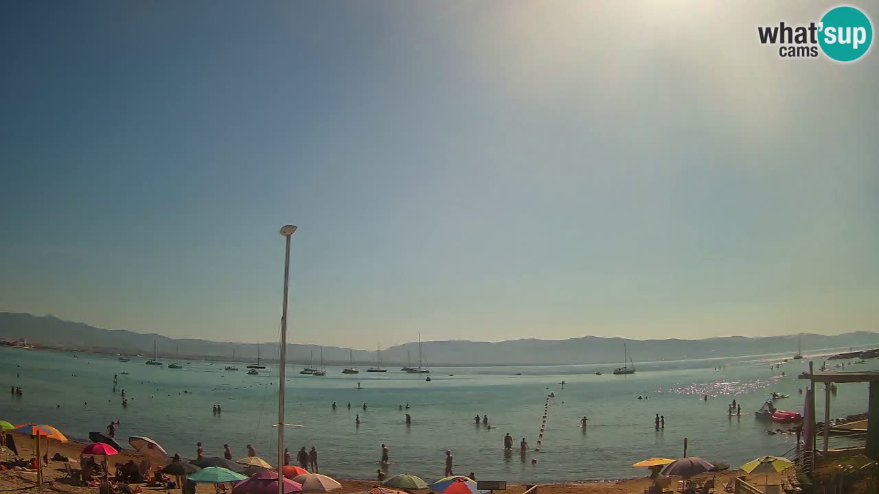 Webcam Cagliari Windsurf Club – Plage du Poetto en direct