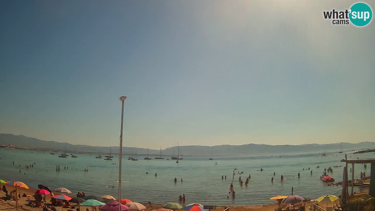 Webcam Cagliari Windsurf Club – Plage du Poetto en direct