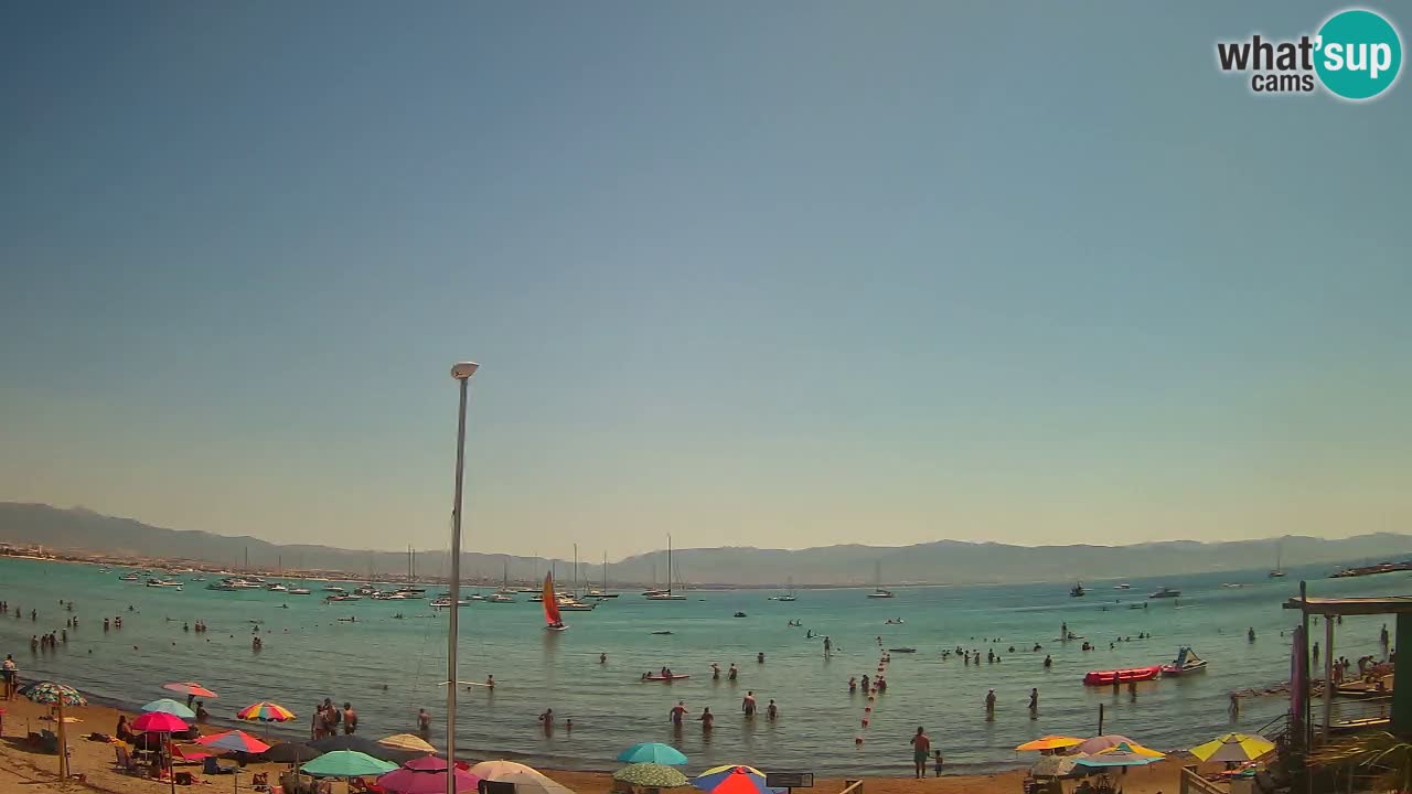 Webcam Cagliari Windsurf Club – Plage du Poetto en direct